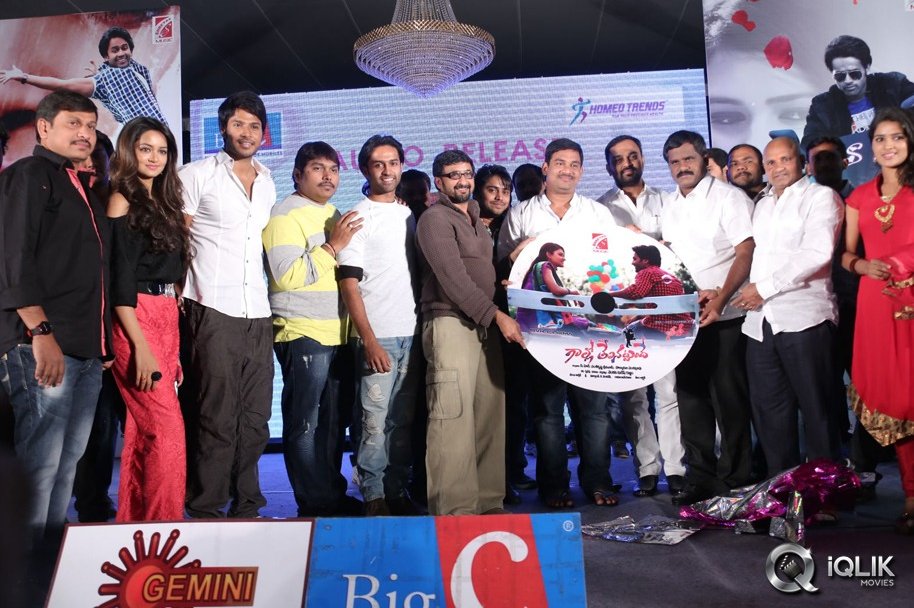 Gallo-Telinattunde-Movie-Audio-Function